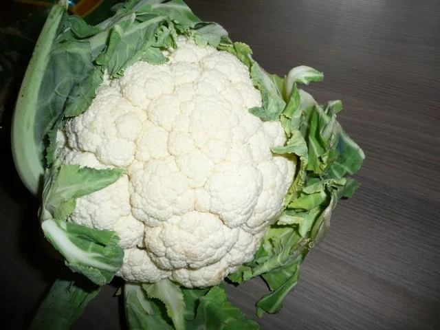 Rezept: Hackbraten , Blumenkohl - Kartoffel - Gratin Bild Nr. 5 Hackbraten , Blumenkohl - Kartoffel - Gratin - Rezept - Bild Nr. 5