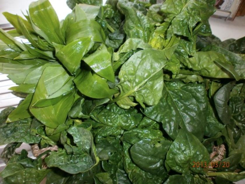 Gefüllte Putenröllchen mit frischem Spinat und........ - Rezept ...