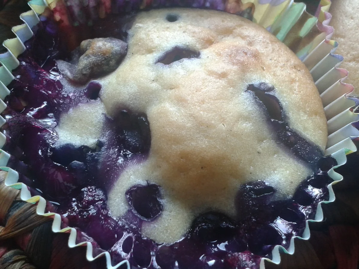 Köstliche Blaubeermuffins - Rezept - Bild Nr. 683