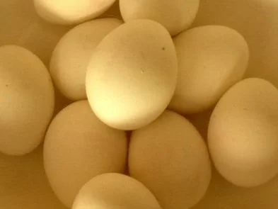 Soleier - Rezept - Bild Nr. 2