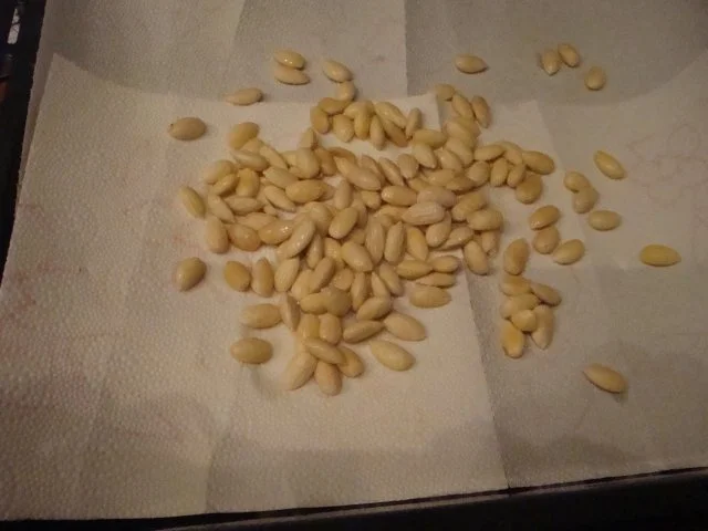 Cantuccini - Rezept - Bild Nr. 4