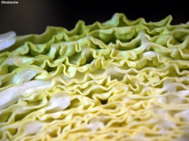 Rezept: Wirsing-Quiche Bild Nr. 4 Wirsing-Quiche - Rezept - Bild Nr. 4