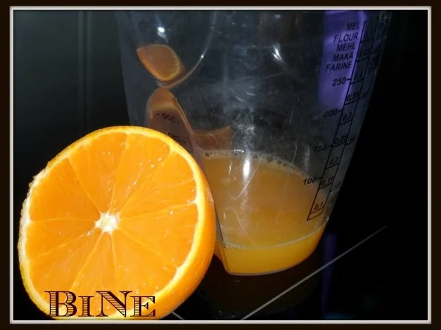 Rezept: BiNe` S APFELSINENKUCHEN Bild Nr. 3 BiNe` S APFELSINENKUCHEN - Rezept - Bild Nr. 3