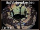 BiNe` S APFELSINENKUCHEN - Rezept