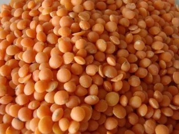 Linsen Trilogie nach "Landfrauen Art" - Rezept - Bild Nr. 7