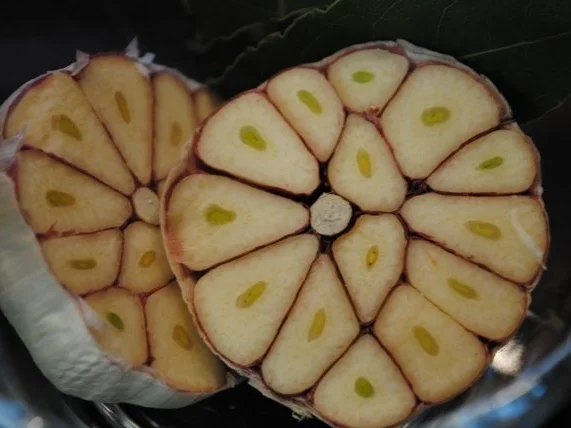 confiertes Kräuterhuhn / Risotto al’ arrabiata / Vanille-Tomaten - Rezept - Bild Nr. 4