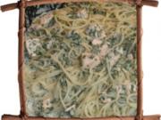 Spaghetti mit Lachs + Spinat - Rezept
