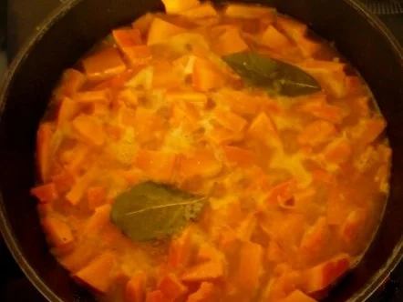 Feurige Kürbis-Sauce - Rezept - Bild Nr. 3