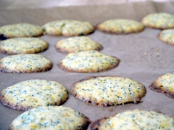 Orangen-Mohn-Kekse - Rezept - Bild Nr. 10