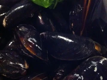 Feines Fischsüppchen - Rezept - Bild Nr. 7