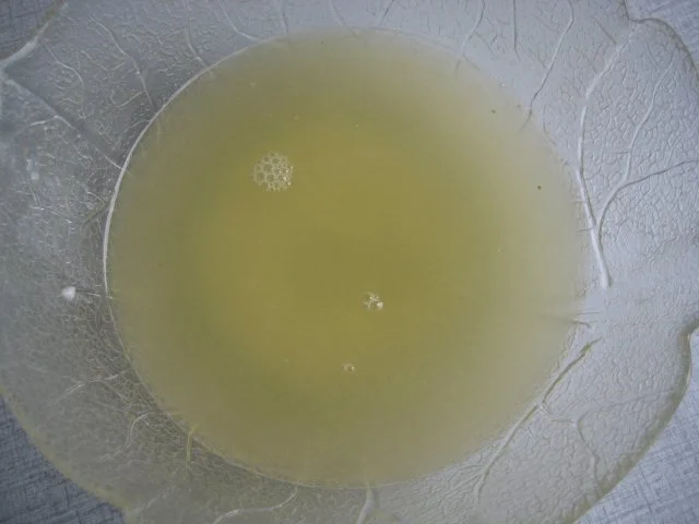 Rezept: Getränkter Zitronencake Bild Nr. 14 Getränkter Zitronencake - Rezept - Bild Nr. 14