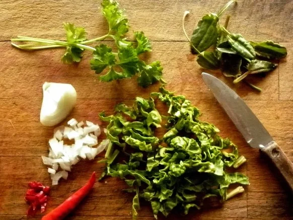 Rezept: Kartoffelsüppchen mit Mangold und Sauerampfer Bild Nr. 2 Kartoffelsüppchen mit Mangold und Sauerampfer - Rezept - Bild Nr. 2