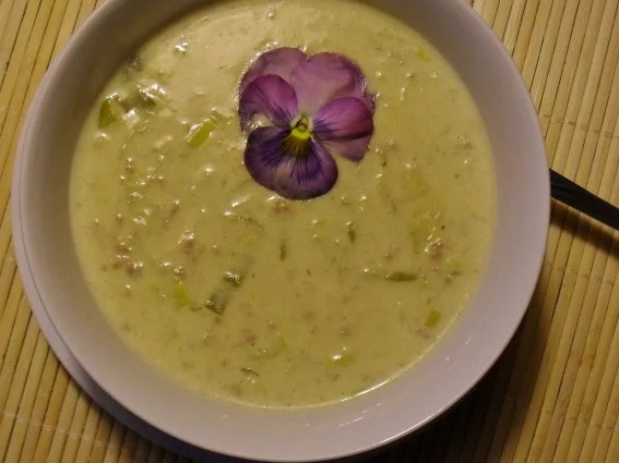 Rezept: Käse - Suppe Käse - Suppe - Rezept