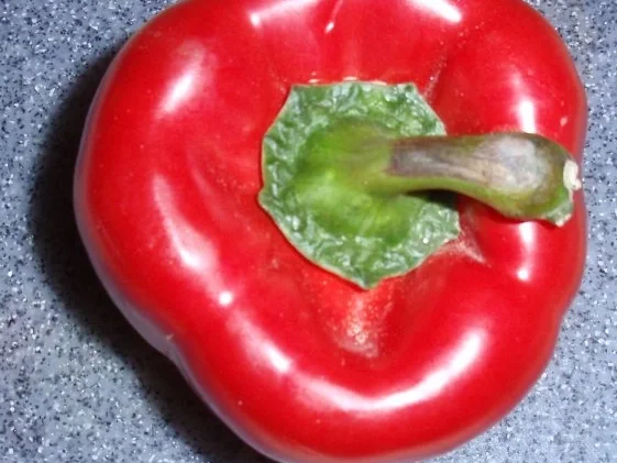 Spaghetti mit Pfiff a la Linda - Rezept - Bild Nr. 11