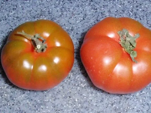 Spaghetti mit Pfiff a la Linda - Rezept - Bild Nr. 14