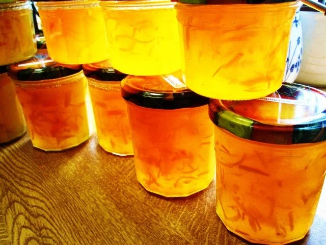 Rezept: Zitronen-Marmelade 2013 Bild Nr. 8 Zitronen-Marmelade 2013 - Rezept - Bild Nr. 8