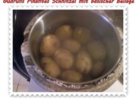 Fleisch: Pikantes Schnitzel mit asiatischer Tomatensoße - Rezept - Bild Nr. 8