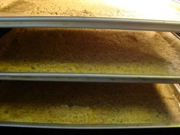 Grundrezept für meine "gekörnte Gemüsebrühe" - Rezept - Bild Nr. 16