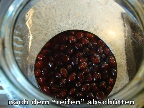 Cranberry Likörchen - Rezept - Bild Nr. 7