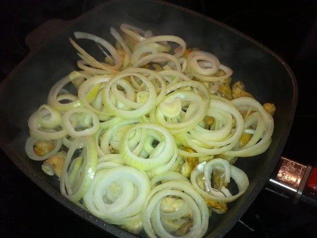 Hühnchen nach Gyros Art - Rezept - Bild Nr. 5