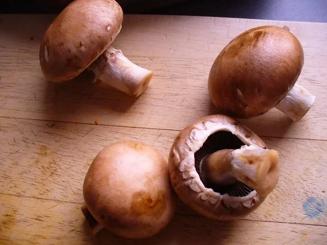 Rezept: Schweinslende im Schinkenmantel Bild Nr. 5 Schweinslende im Schinkenmantel - Rezept - Bild Nr. 5