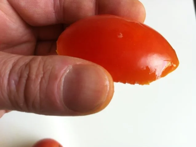 Gefüllte Paprika von Sevkoc nach türkischer Art - Rezept - Bild Nr. 14