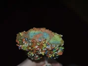 Zitronen-Cake-Pops - Rezept