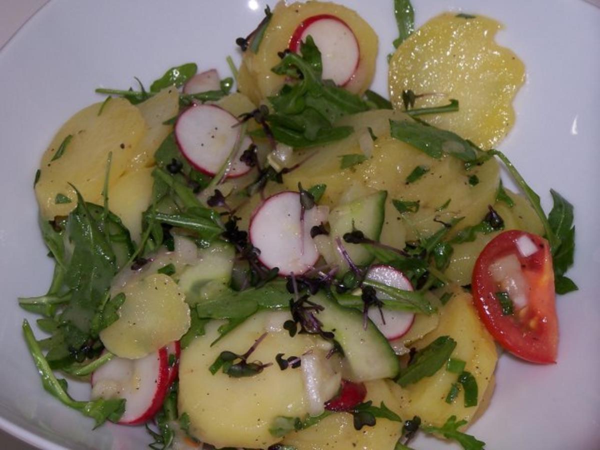 Frühlingskartoffelsalat - einfach - 70 kcal/100g