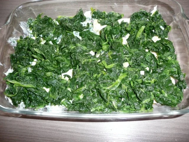 Cannelloni mit Ricotta ,Spinat & Ei - Rezept - Bild Nr. 4