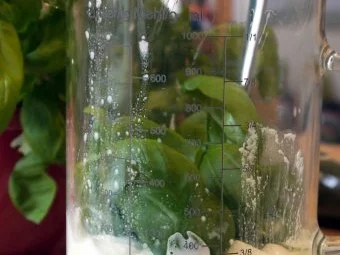 Basilikum-Avocado-Dressing - Rezept - Bild Nr. 4