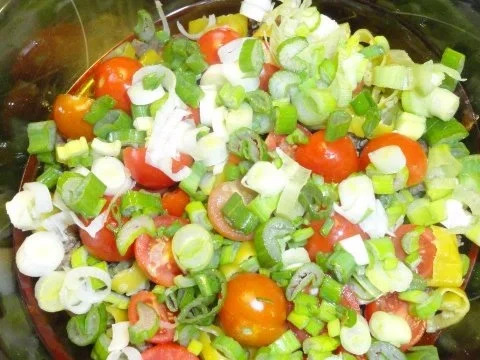 GYROS - SALAT - Rezept - Bild Nr. 2