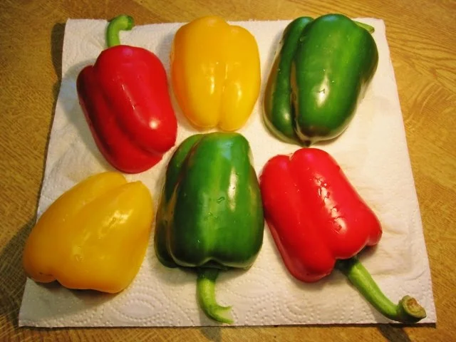 Rezept: Gefüllte Paprika - heute mit Hackfleisch vom Wild Bild Nr. 3 Gefüllte Paprika - heute mit Hackfleisch vom Wild - Rezept - Bild Nr. 3