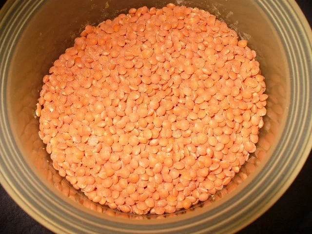 gedünstetes Schollenfilet mit Shrimps - Rezept - Bild Nr. 5