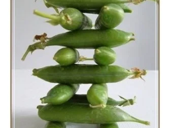 Schmackhafter Salat aus jungen Erbsenschoten, Cherry Rispentomaten und Zwiebel - Rezept - Bild Nr. 2