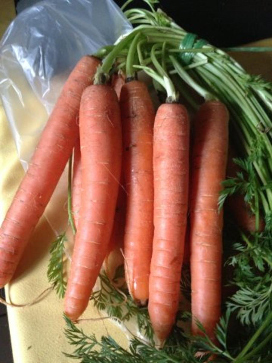 Karotten-Ingwer Suppe - Rezept
