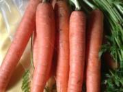 Karotten-Ingwer Suppe - Rezept