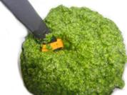 Rezept: Bärlauch-Pesto Bärlauch-Pesto - Rezept
