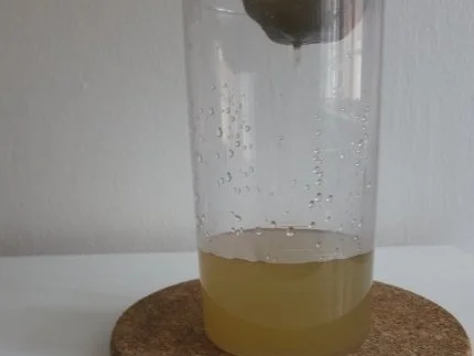 Rezept: Ginger Ale Bild Nr. 3 Ginger Ale - Rezept - Bild Nr. 3