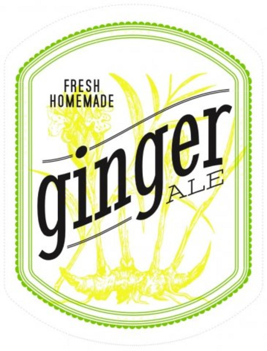 Ginger Ale - Rezept - Bild Nr. 8