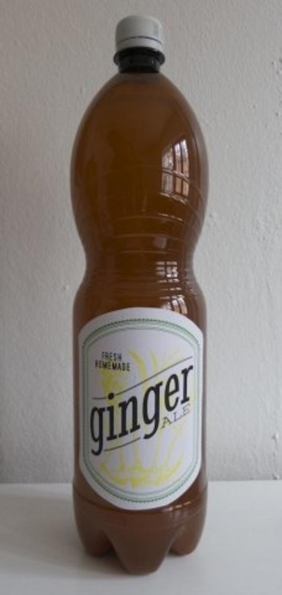 Ginger Ale - Rezept - Bild Nr. 9