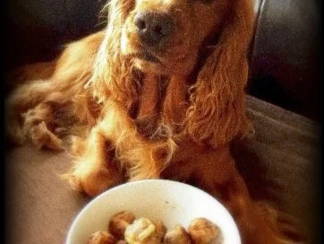 Hackbällchen mit Nudeln - Rezept