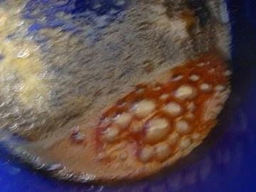 Süppchen aus Roten Linsen mit "Paprikabutter Topping" - Rezept - Bild Nr. 12