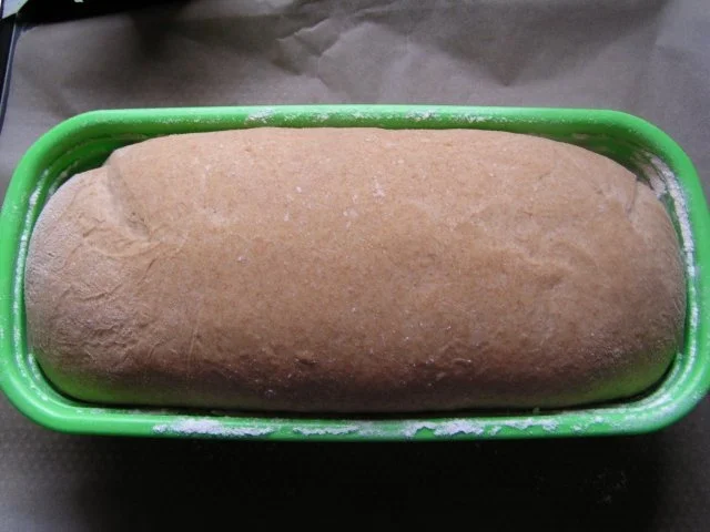 Dinkel-Volkorn-Brot - Rezept - Bild Nr. 5