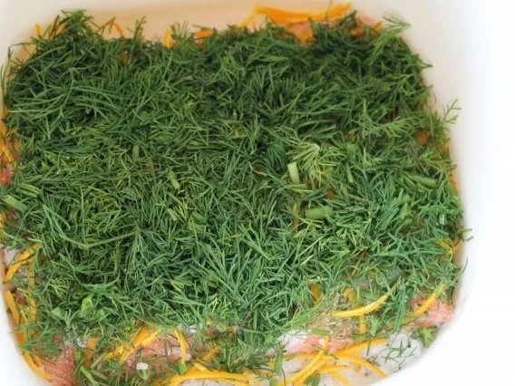 Gebeizter- Lachs mit Honig-Senf-Soße - Rezept - Bild Nr. 7