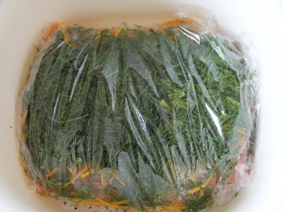 Gebeizter- Lachs mit Honig-Senf-Soße - Rezept - Bild Nr. 8