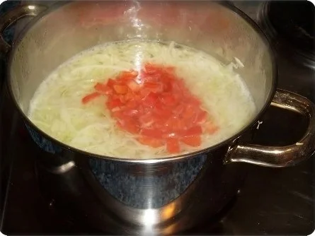 Bunte Krautsuppe - Rezept - Bild Nr. 10