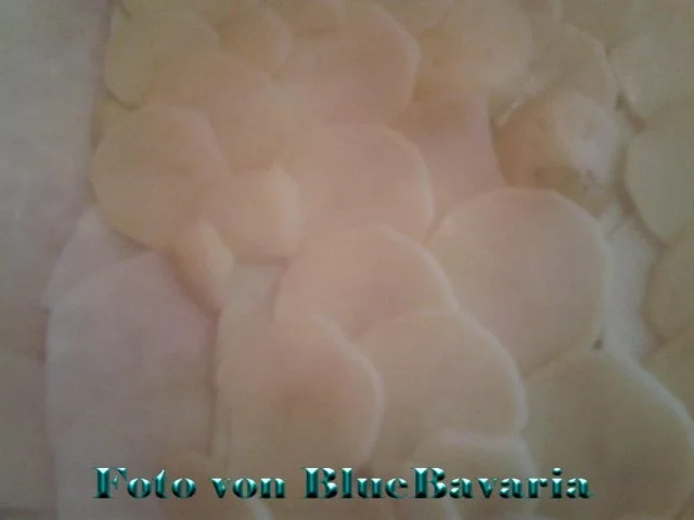 Rezept: Aufläufe: Kohlrabi-Kartoffel-Schinken-Auflauf Bild Nr. 2 Aufläufe: Kohlrabi-Kartoffel-Schinken-Auflauf - Rezept - Bild Nr. 2