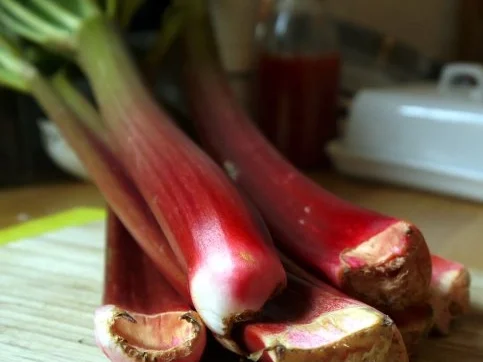 Rezept: Rhabarber-Orangen-Sirup Bild Nr. 2 Rhabarber-Orangen-Sirup - Rezept - Bild Nr. 2