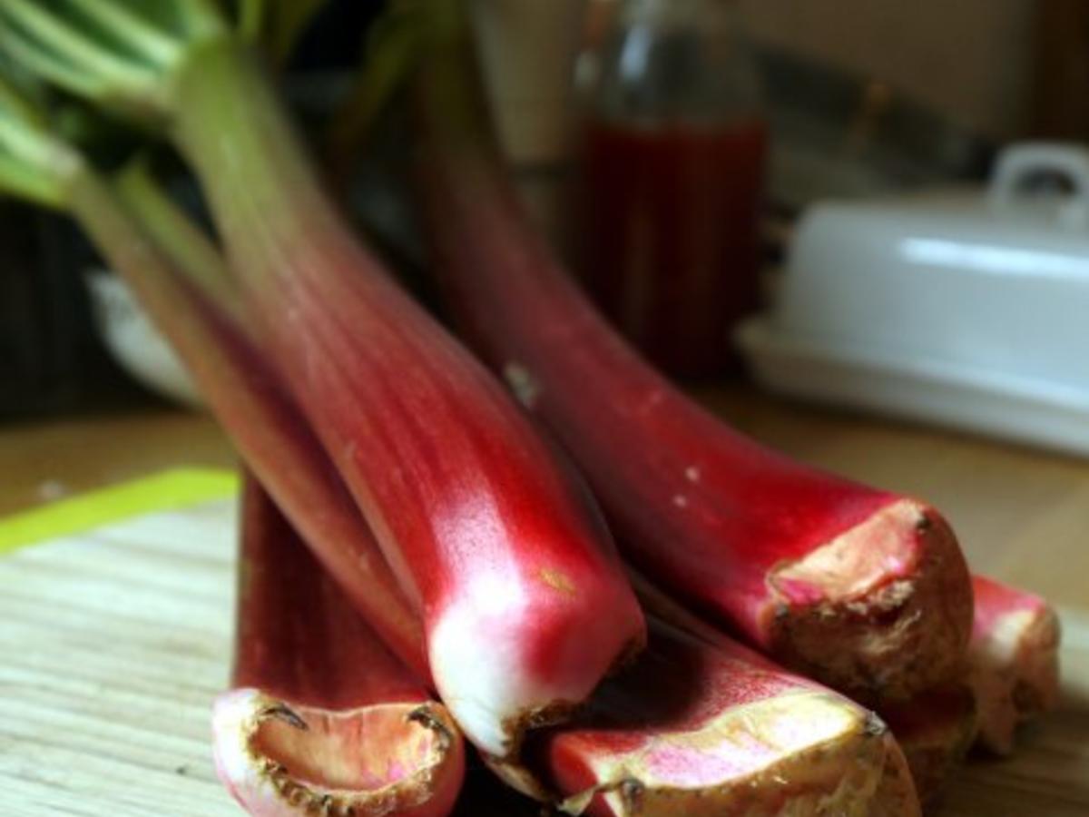 Rhabarber-Orangen-Sirup - Rezept mit Bild - kochbar.de