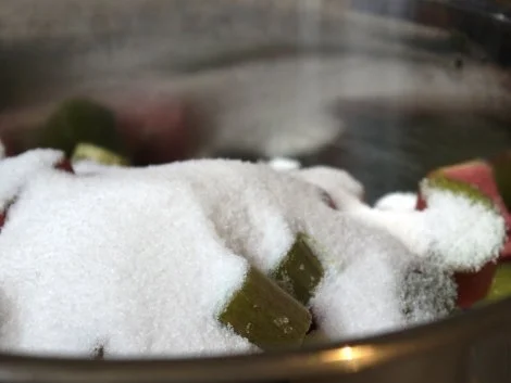 Rezept: Rhabarber-Orangen-Sirup Bild Nr. 3 Rhabarber-Orangen-Sirup - Rezept - Bild Nr. 3